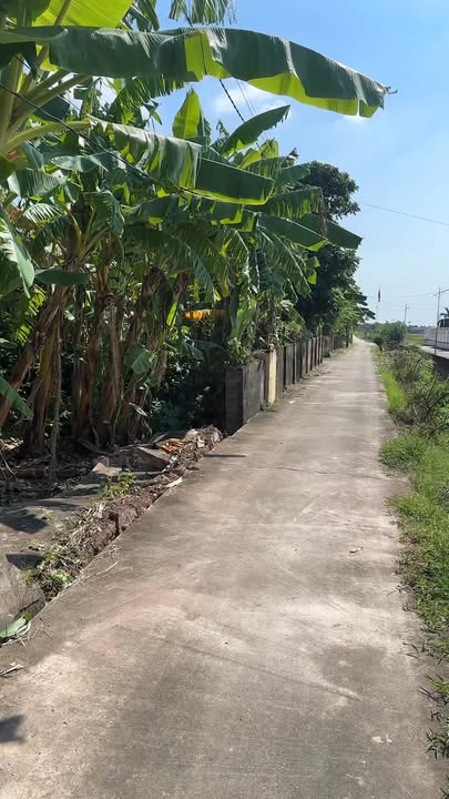 Đất nền Giao Nhân Giao Thủy 960m² - Giá thương lượng hợp lý!