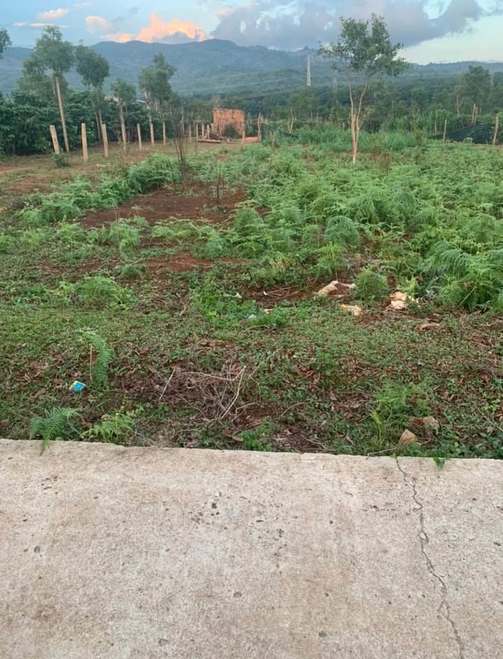 Đất nền Hòa Phú, Chư Păh, Gia Lai 1075m² - Đất đẹp, không quy hoạch!