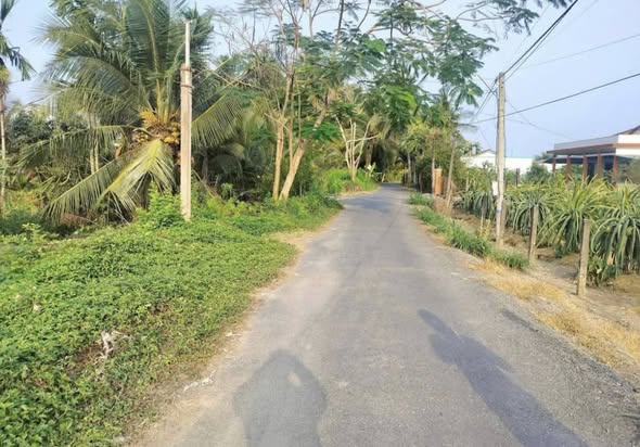 Đất thổ cư mặt tiền Trung Hòa, Chợ Gạo 100m² giá 1.1 tỷ - Định cư lý tưởng!