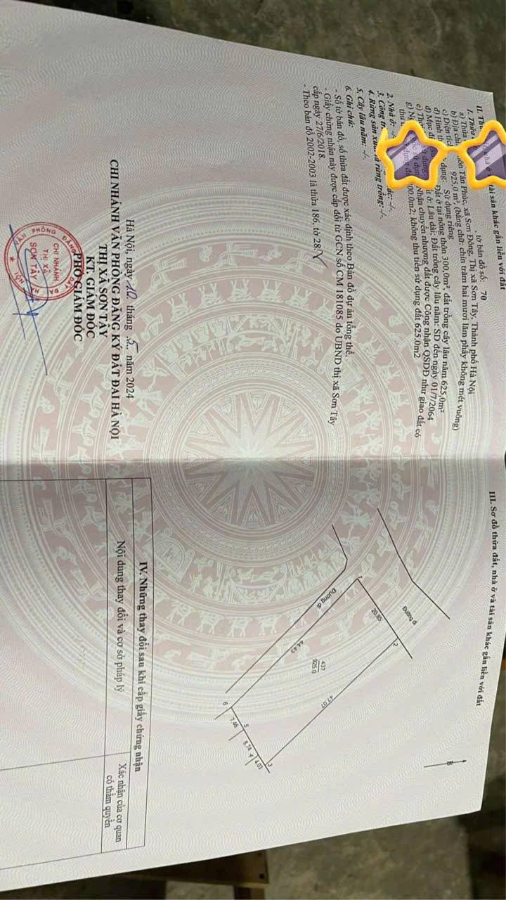 Đất góc 2 mặt tiền 925m² tại Sơn Đông, Hà Nội - Giá chỉ từ 20 triệu/m²!