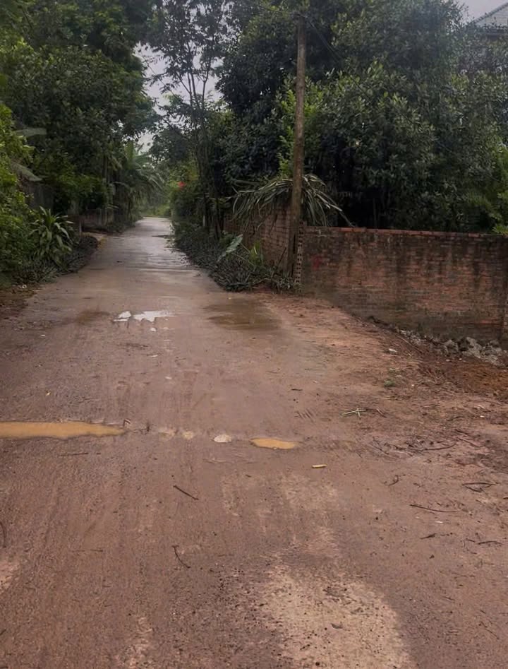 Đất thổ cư 602m² thôn Mé, Hướng Đạo, 2 tỷ - Đầu tư sinh lời ngay!