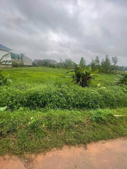 Đất nền xóm 7, xã Đại Sơn, 210m² giá 700 triệu - Kinh doanh tiện lợi!