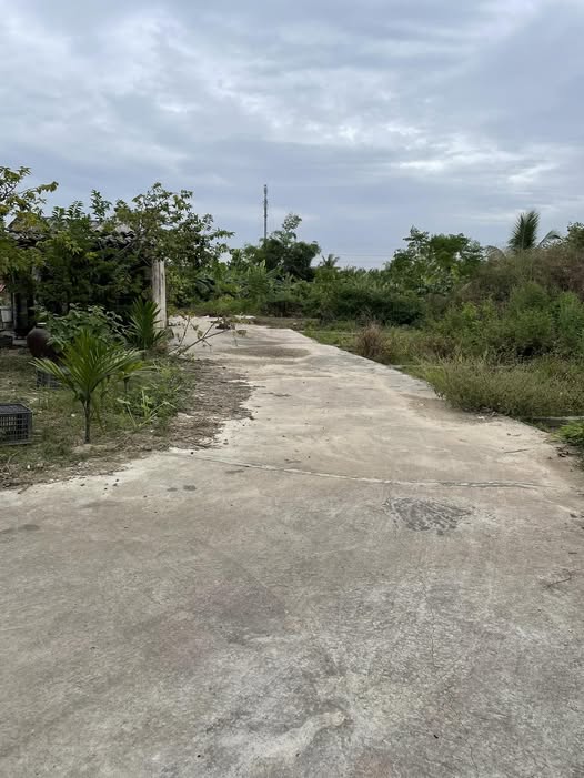 Đất nền xã Quảng Thanh, Thủy Nguyên 61m² chỉ 490 triệu - Cơ hội đầu tư tốt!