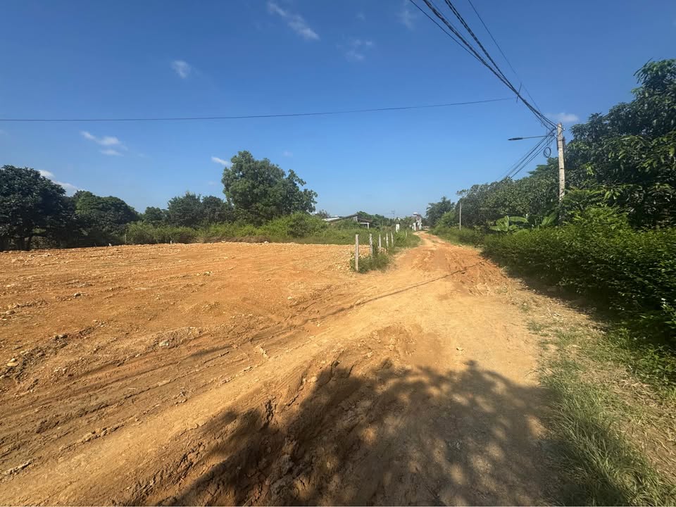 Đất liền kề Cư Jút, Đắk Nông 314m² giá chỉ 349 triệu - Đầu tư sinh lời ngay!