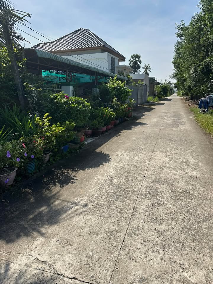 Đất nền Thanh Sơn, Châu Thành, Tây Ninh 154m² giá 246.4 triệu - Cơ hội đầu tư sinh lời!