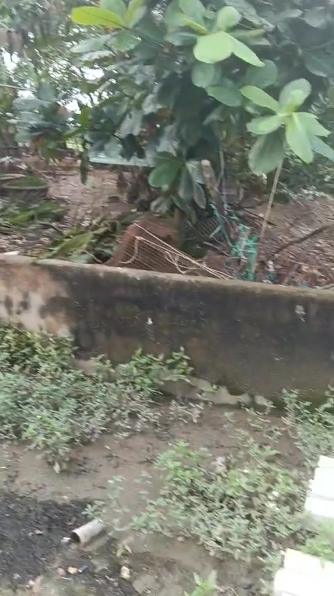 Đất Tân Kiên Bình Chánh 250m² giá 2.5 tỷ - Pháp lý rõ ràng, sẵn sàng xây dựng!