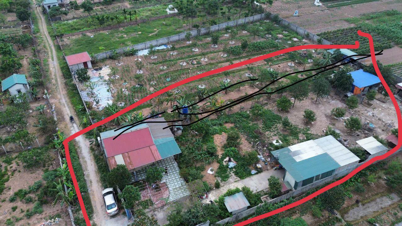 Đất vườn Phụng Châu 1280m² giá chỉ 2 triệu - Cơ hội đầu tư tuyệt vời!