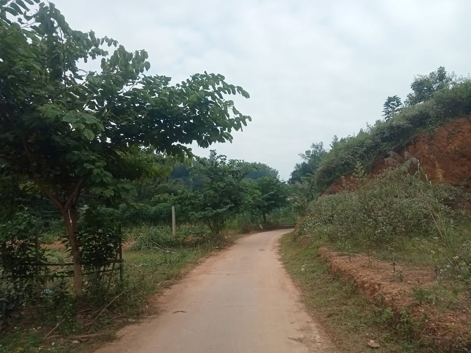 Đất thổ cư Bản Chậu TP Sơn La 400m² giá 270 triệu - Cơ hội vàng cho nhà đầu tư!