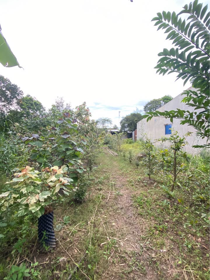 Đất nền Vành Đai Phường 6 TP.Cao Lãnh 300m² giá 1.68 tỷ - Vị trí đắc địa cho đầu tư!