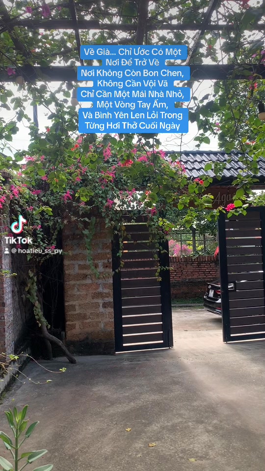 Villa Ngọc Thanh, Phúc Yên 656m² giá 11 tỷ - Thiết kế tâm huyết gần Hồ Đại Lải!