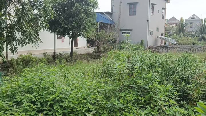 Đất nền Giao Long Nam Định 132m² giá 1 tỷ - Chính chủ bán gấp!