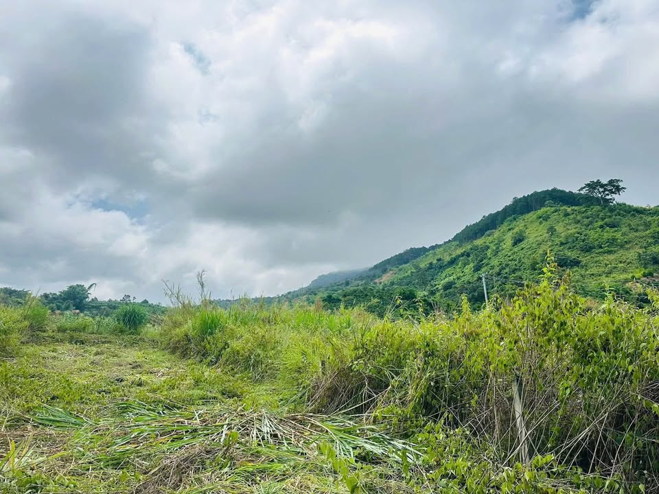 Đất nền Nam Ban Lâm Hà 502m² giá 1,1 tỷ - Không khí trong lành, view đẹp!