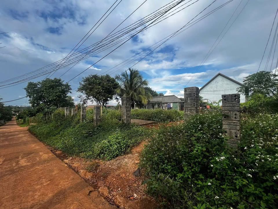 Đất nền xã Ea Drăng, Đắk Lắk 250m² giá 590 triệu - Thương lượng ngay!