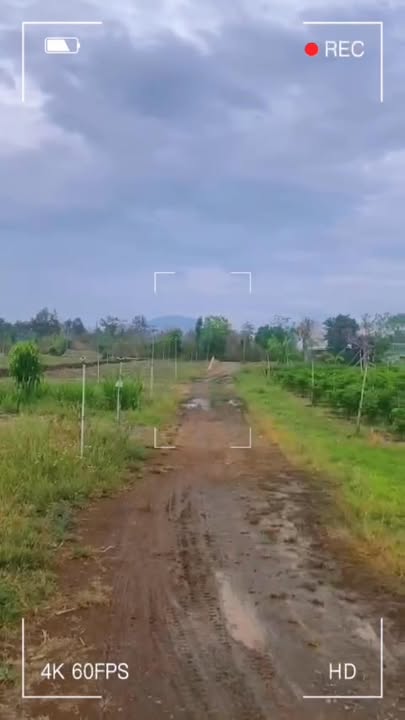 Đất nền Xuân Định 1564m² giá 750 triệu - Cơ hội đầu tư hấp dẫn!