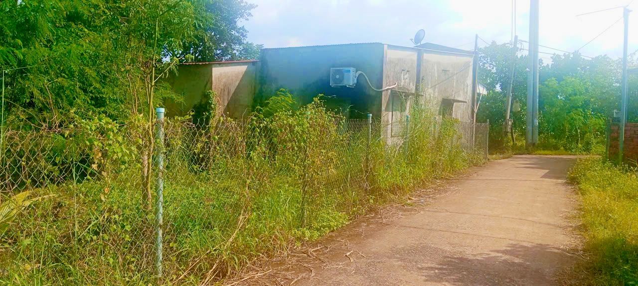 Đất nền Bảo Vinh Long Khánh 16.000m² giá 650 triệu - Sổ đỏ chính chủ, cơ hội đầu tư hấp dẫn!