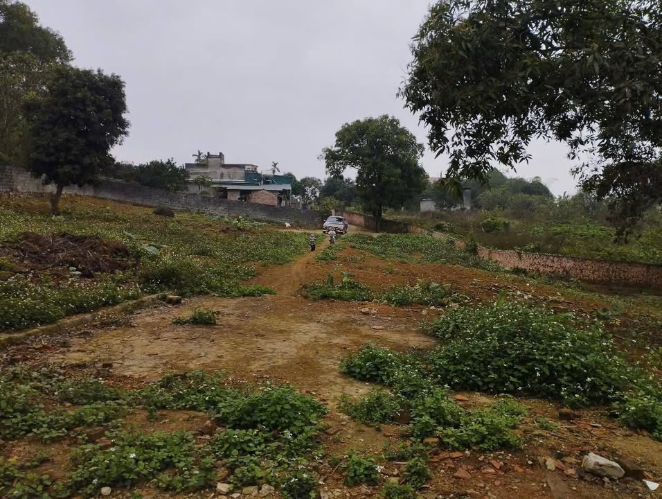 Đất nền Nhuận Trạch, Lương Sơn, Hòa Bình 3150m² - Cơ hội đầu tư hấp dẫn!