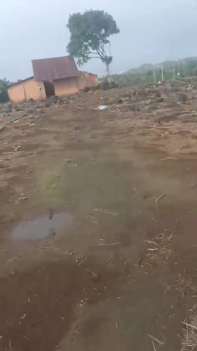 Đất thổ cư Phú Tân Cà Mau 300m² giá 2.9 tỷ - Đầu tư sinh lời lý tưởng!