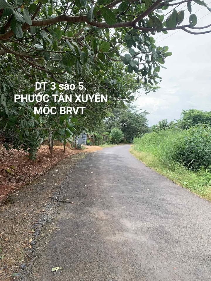 Đất nền Phước Tân Xuyên Mộc 3500m² giá 920 triệu - Phù hợp đầu tư sinh lời!