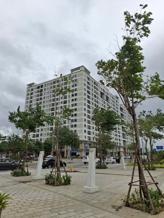 Chung cư FPT Plaza Đà Nẵng - Thuê 1-3 Phòng Ngủ, Giá từ 8 triệu