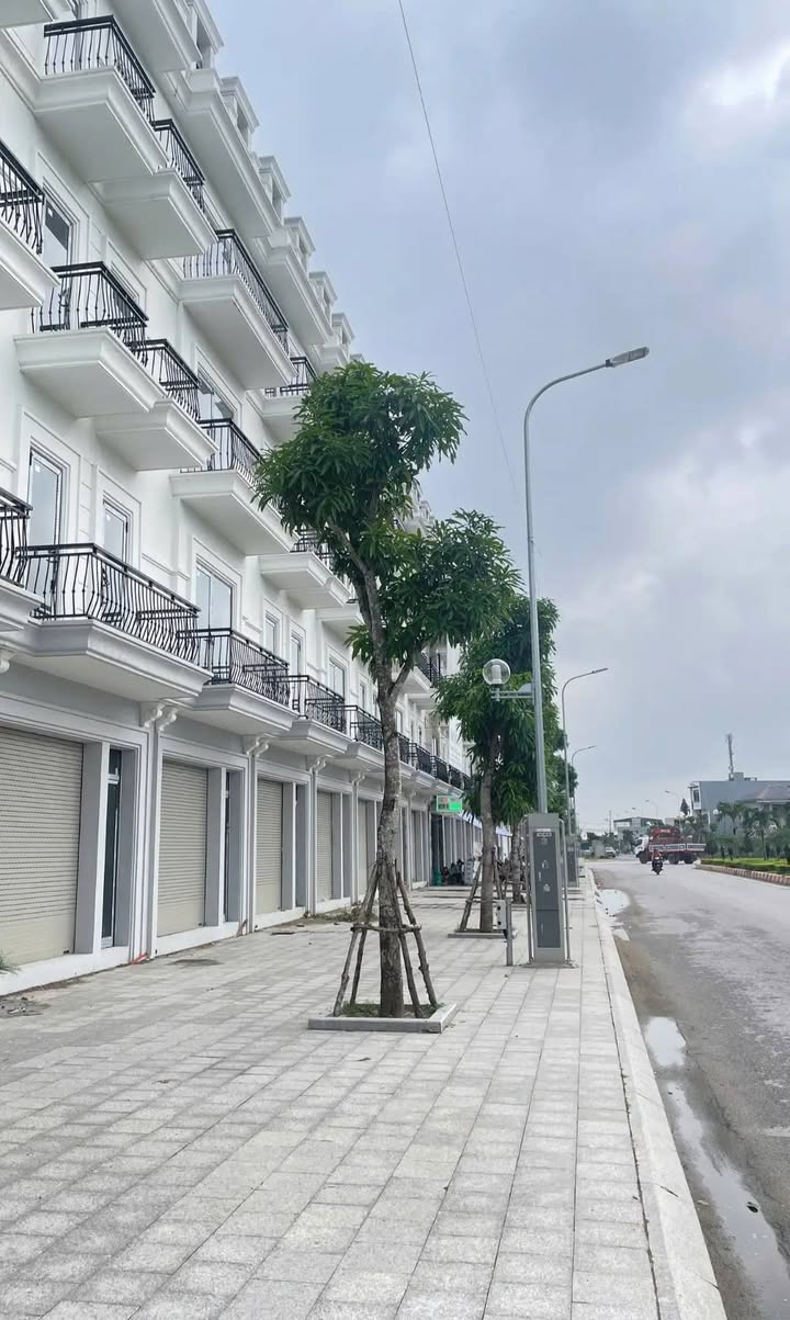 Đất nền mặt đường Trịnh Kiểm, Thanh Hóa 90m² giá 8 tỷ - Cơ hội đầu tư tuyệt vời!