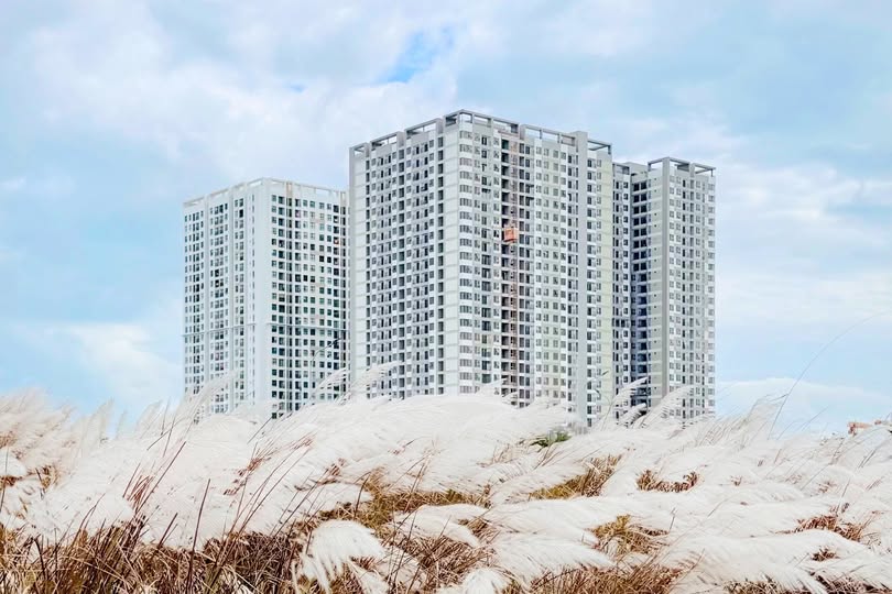 Căn hộ chung cư FPT Plaza Đà Nẵng 50m² giá 2.2 tỷ - Sổ hồng chính chủ, Full nội thất!