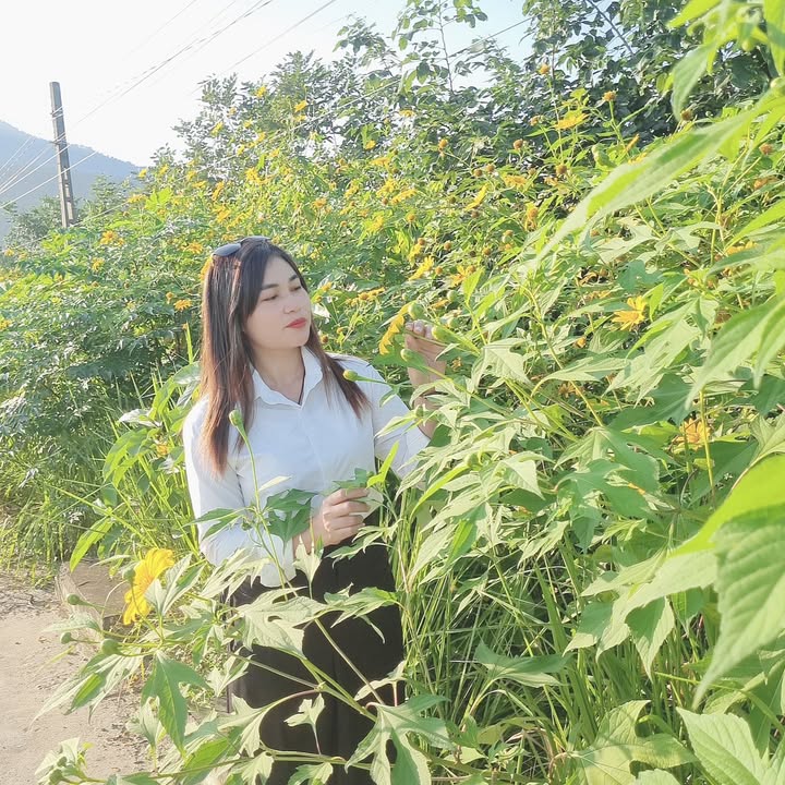 Đất nền Yên Bài, Ba Vì 1000m² giá chỉ 5.8 triệu/m² - Cơ hội đầu tư tuyệt vời!