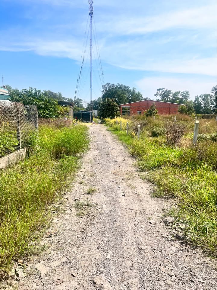 Đất nền Gò Dầu Tây Ninh 330m² giá 500 triệu - Khu dân cư hiện hữu