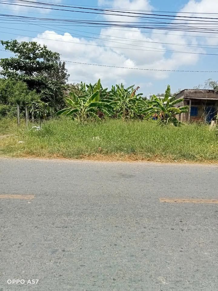 Đất nền mặt tiền đường Bắc Nam, xã Thạnh Trị, 651m² - Đầu tư sinh lời ngay!