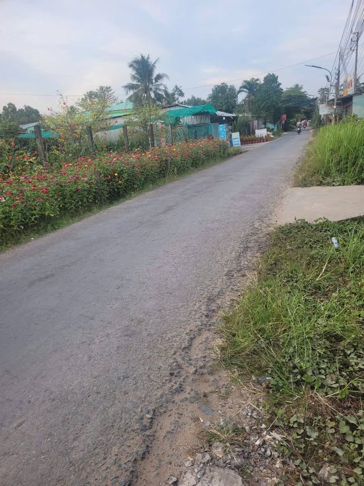 Đất nền Sơn Đông, Bến Tre 150m² giá chỉ 750 triệu - Khu dân cư ổn định!