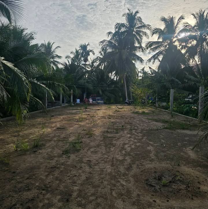 Đất nền biệt thự Nhơn Thạnh Bến Tre 587m² giá 1.35 tỷ - Đường xe 16 chỗ vào tận nơi!