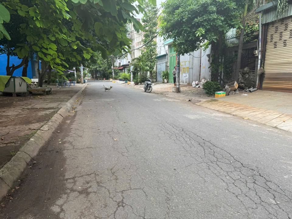 Đất nền đường 41, Khu Tên Lửa, Bình Tân 103.5m² giá 10.5 tỷ - Vị trí đẹp, sổ hồng riêng!