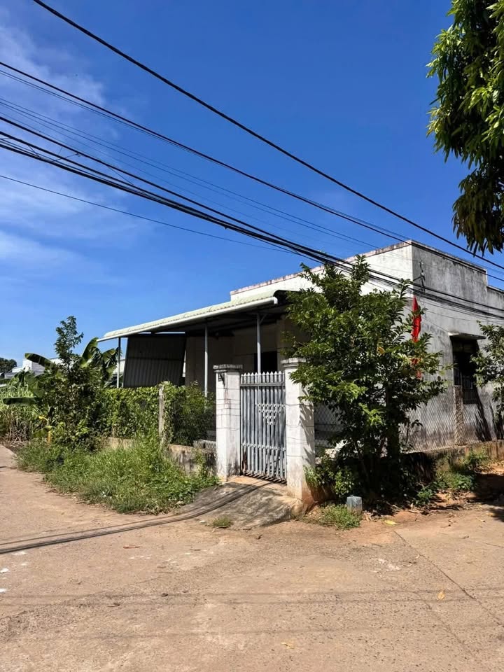 Nhà phố Phú An, thị trấn Phú Long 150m² giá 1.6 tỷ - Lô góc 2 mặt tiền tuyệt đẹp!