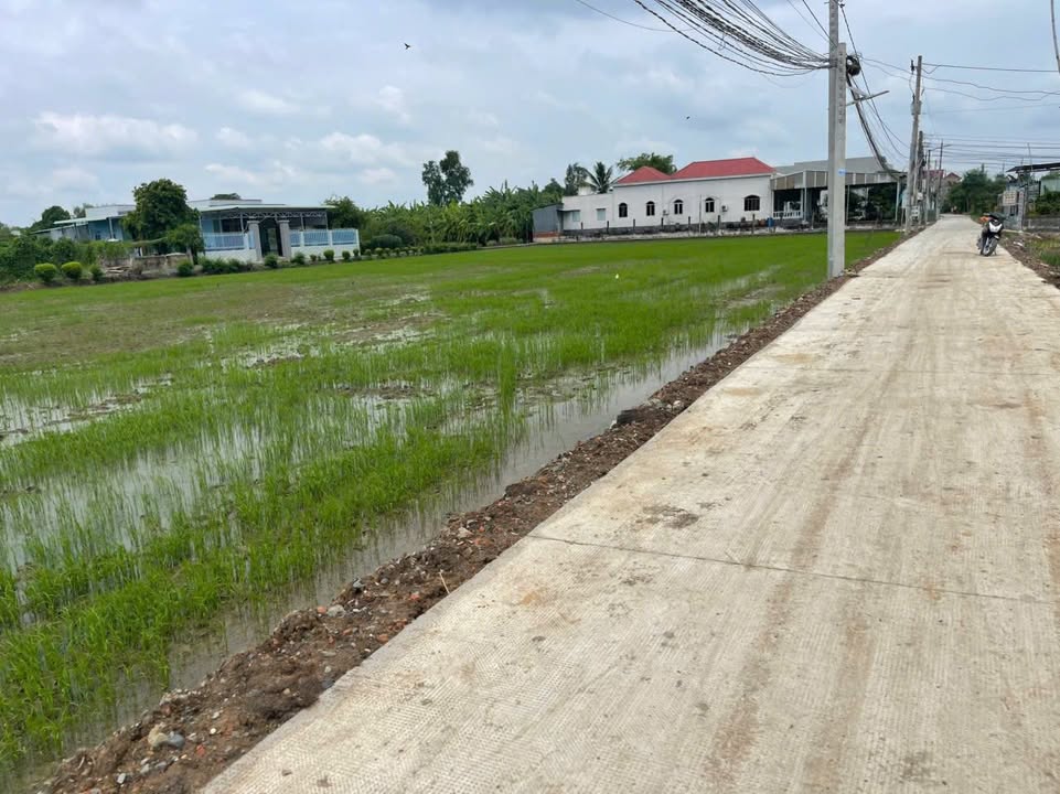 Đất vườn 2610m² xã Long Thương giá 14.35 tỷ - Phù hợp xây nhà vườn nghỉ dưỡng!