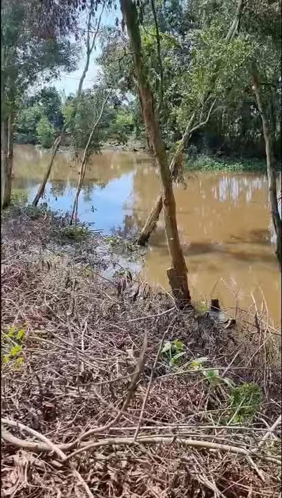 Đất ruộng 30000m² mặt tiền đường HL48B - Bán gấp chính chủ chỉ 900 triệu!