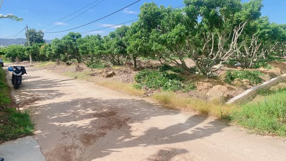 Đất thổ cư Lê Lợi 998m² giá thỏa thuận - Cơ hội đầu tư lý tưởng!