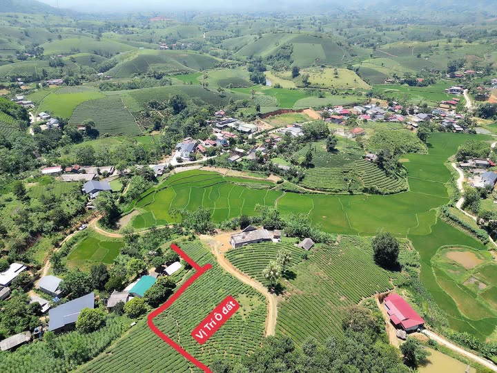 Đất nền Xóm Chóc, Minh Đài 1500m² giá 200 triệu - View đồi chè tuyệt đẹp!