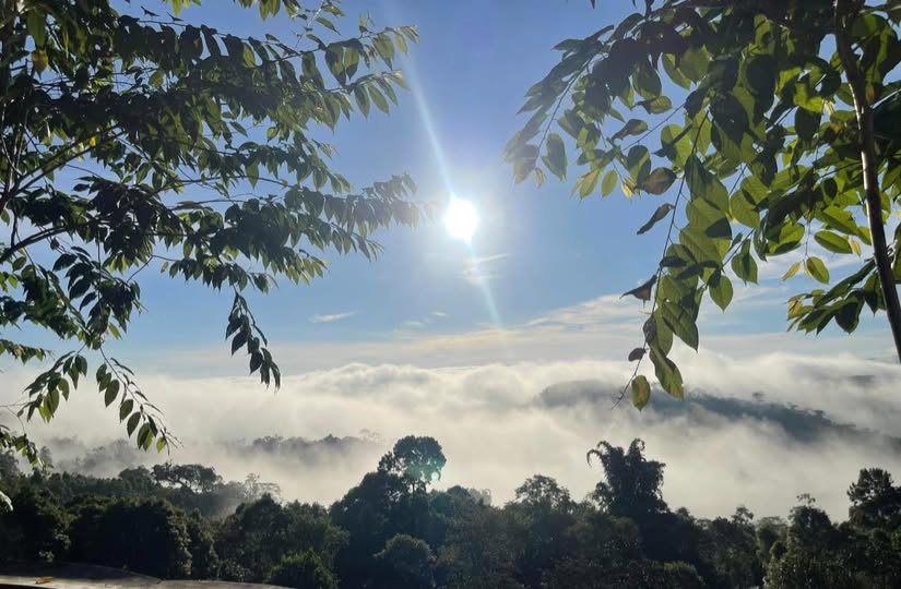 Đất nền Măng Đen 182m² giá 8 tỷ - Cơ hội đầu tư hấp dẫn!