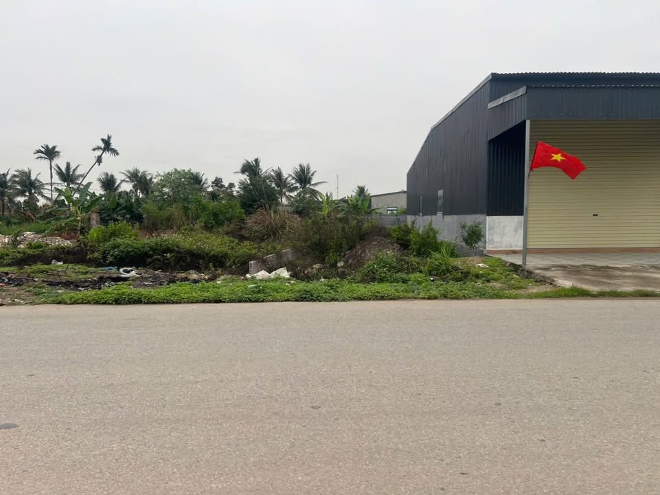 Lô đất mặt đường Tỉnh lộ 403 Đồ Sơn Hải Phòng 150m² - Chính chủ bán gấp!