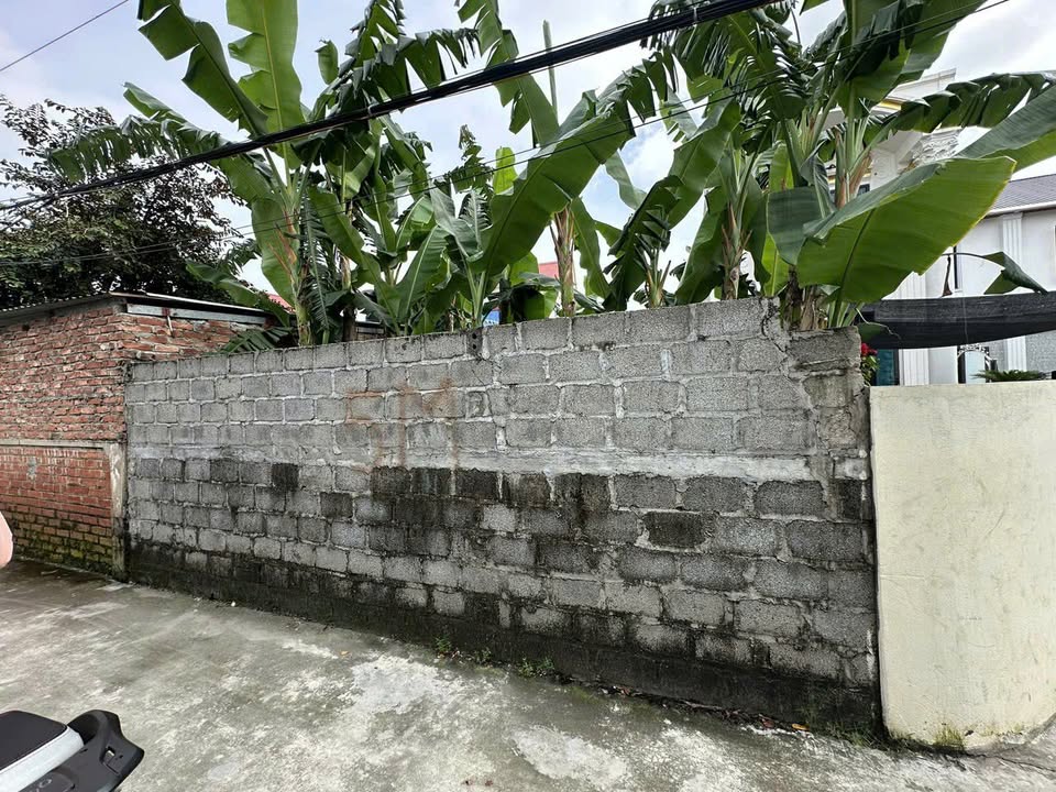 Đất thổ cư An Lão 90m² giá 900 triệu - Sổ đỏ chính chủ, ô tô vào tận nơi!