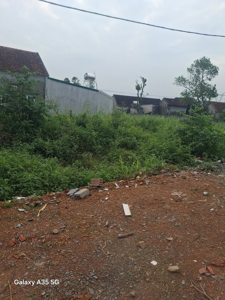 Đất nền xóm 6 Đại Sơn 197m² giá 500 triệu - Sổ hồng chính chủ, đầu tư ngay!