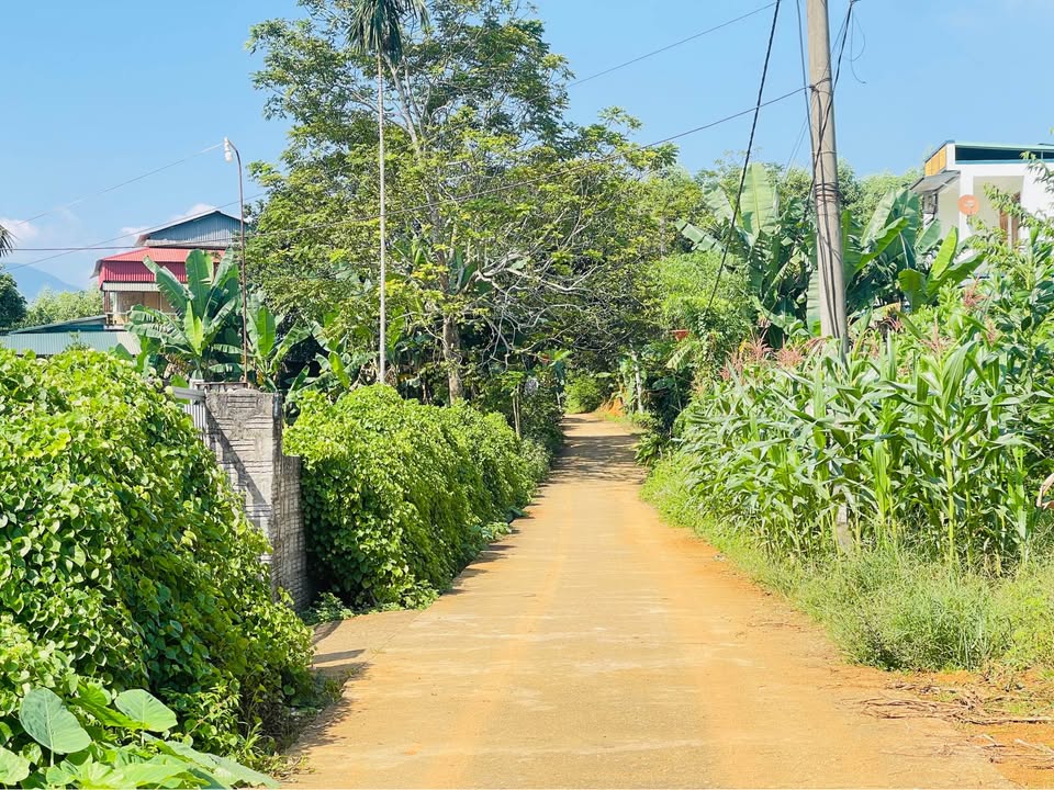 Đất nền An Tường 600m² giá chỉ 3.XX tỷ - Đầu tư sinh lời ngay!