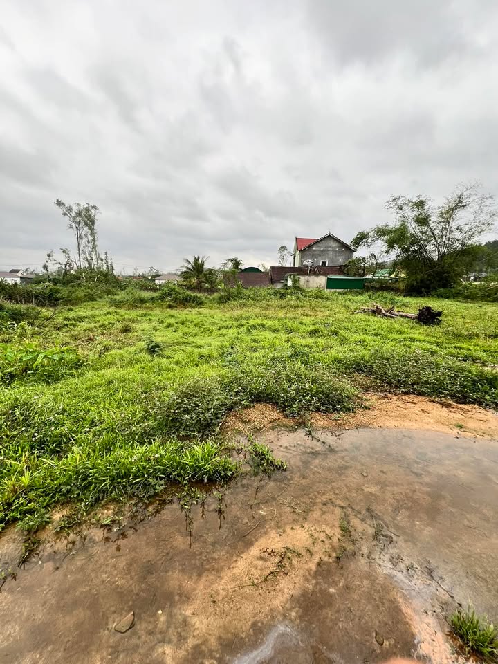 Đất nền Nam Lĩnh, Nghệ An 356m² giá 2 tỷ - Cơ hội đầu tư tuyệt vời!