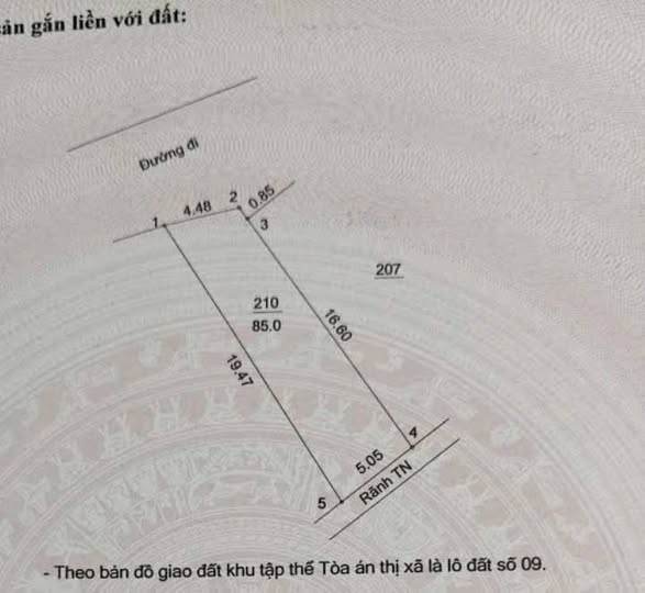 Đất nền ngay phố Lê Lợi Sơn Tây 85m² giá 40 triệu/m² - Đầu tư sinh lời ngay!