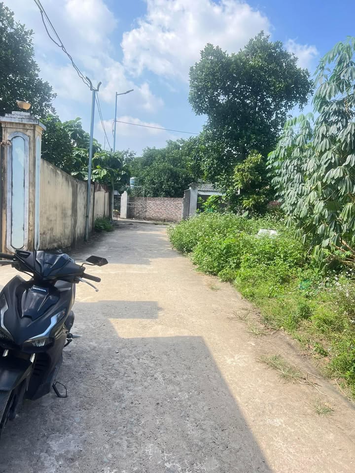 Đất thổ cư 78m² tại Cao Minh, Phúc Yên - Giá cắt lỗ chỉ 1.35 tỷ!