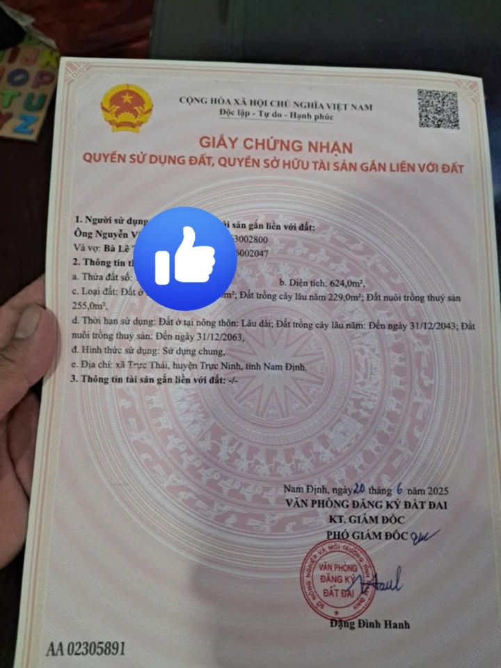 Đất nền Trực Thái, Trực Ninh, Nam Định 624m² giá 1.22 tỷ - Pháp lý rõ ràng