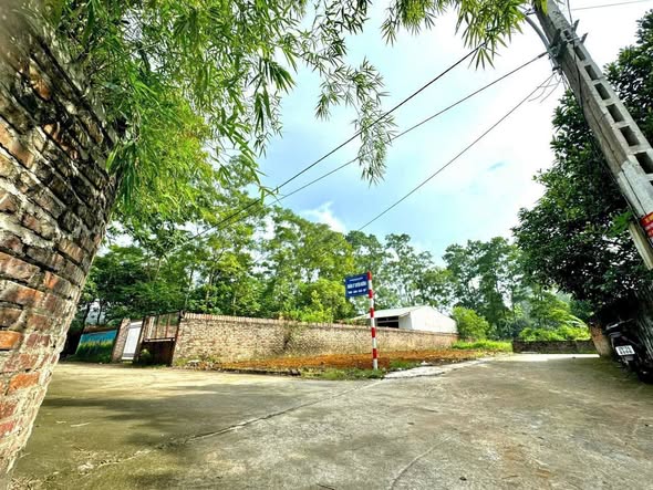 Lô Đất 2 Mặt Tiền Hợp Châu, Tam Đảo 155m² Giá 1 Tỷ - Cơ Hội Đầu Tư Không Thể Bỏ Lỡ!