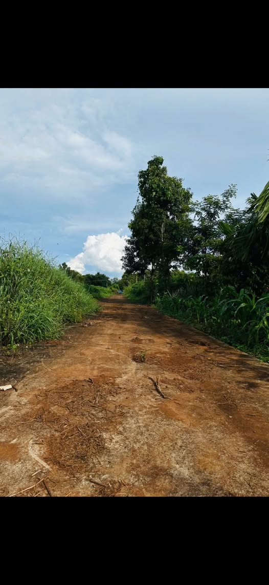 Đất nền 1,2 sào mặt tiền đường bê tông xã Ea Drơng - Giá chỉ 600 triệu!