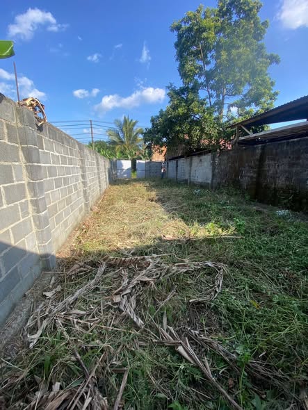 Đất thổ cư phường Ea Kao Buôn Ma Thuột 126m² giá 1.65 tỷ - Cơ hội đầu tư tuyệt vời!