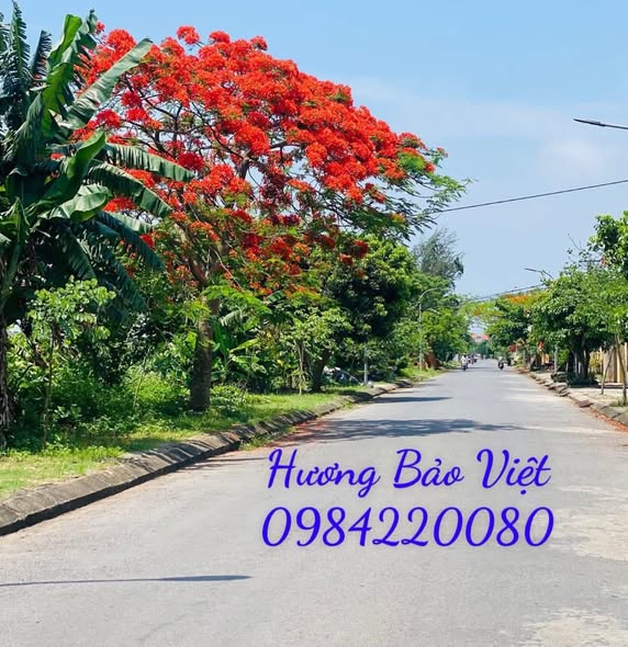 Đất nền Quất Lâm, Giao Thủy 100m² giá 2 tỷ - Cơ hội đầu tư tuyệt vời!