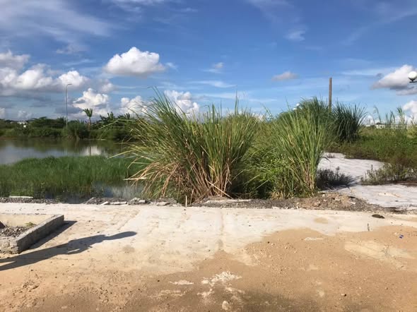 Đất nền đẹp tại xã Quảng Trạch, huyện Quảng Xương, 125m² giá 2 tỷ - Cơ hội đầu tư tuyệt vời!